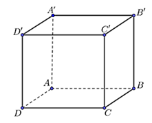 Cho h&igrave;nh lập phương ABCD.A'B'C'D'. C&oacute; bao nhi&ecirc;u vectơ kh&aacute;c vectơ &ndash; kh&ocirc;ng lập từ c&aacute;c đỉnh của h&igrave;nh lập phương v&agrave; c&ugrave;ng phương với vectơ \(\overrightarrow {AB} \)? (ảnh 1)