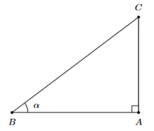 Cho g&oacute;c nhọn &alpha;, biết rằng tam gi&aacute;c ABC vu&ocirc;ng tại A sao cho \(\widehat B = \alpha \).   Khi đ&oacute;: (ảnh 1)