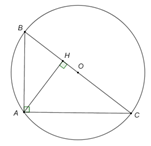 Đ&aacute;p &aacute;n: 1,73     Tam gi&aacute;c \[ABC\] vu&ocirc;ng tại \[A\] c&oacute; đườ (ảnh 1)