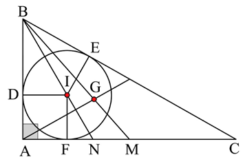 d) Đ&uacute;ng. V&igrave; \[M\] l&agrave; trung điểm của \[BC\] n&ecirc;n \[NM = AM - AN = 6 - 4,5 = 1,5\,\,\left( {{\rm{cm}}} \right)\].  Suy ra \[IG = 1\,\,{\rm{cm}}\]. (ảnh 1)