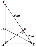 Cho tam giác ABC vuông tại A (AB < AC), có đường cao AK chia cạnh huyền BC thành hai đoạn KB = 2 cm và KC = 6 cm. Tia phân giác góc B cắt AC tại D. Khi đó: (ảnh 1)