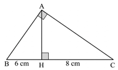 Cho tam giác ABC vuông tại A, đường cao AH. Biết BH = 6cm, CH = 8 cm. Khi đó: (ảnh 1)