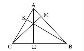 Chiều cao ứng với cạnh đáy AB là: (ảnh 1)