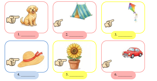 Look and write this or that. (ảnh 1)