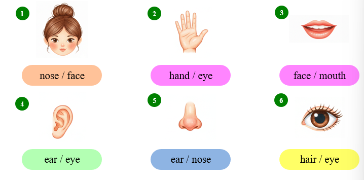 Circle the correct word.  (ảnh 1)