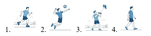 Read and tick (v) the correct picture. (ảnh 2)