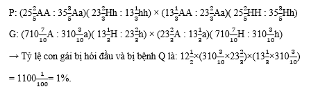 Sơ đồ phả hệ dưới đây mô tả sự di truyền hai căn bệnh ở người. Biết rằng hai cặp gene quy định hai tính trạng nói trên không cùng nằm trong một nhóm gene liên kết; bệnh hói đầu ở người do allele trội H nằm trên NST thường quy định, (ảnh 3)