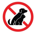 What is the meaning of the sign below? (ảnh 1)
