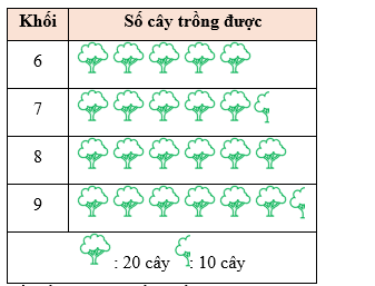 Biểu đồ dưới đây cho biết số cây xanh được trồng được của một Trường THCS trong đợt phát động trồng cây xanh đầu năm. (ảnh 1)