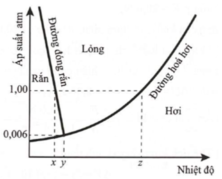 Hình vẽ là