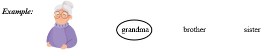 Look and circle the word. 3 questions (0.75pt)     van  	  bus  	  plane (ảnh 1)