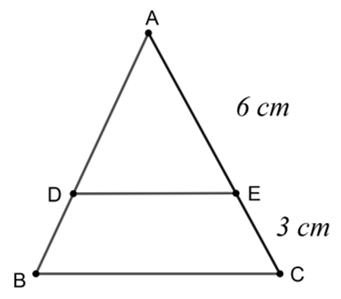 Cho hình vẽ, biết ΔABC và ΔADE là hai tam giác cân.

Chọn kết luận đúng trong các câu sau (ảnh 1)