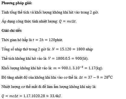 Một người thở đều đặn với tốc độ 15 nhịp/phút. Vào ngày thời tiết lạnh 9 độ C, ở mỗi nhịp thở có 0,5 lít không khí lạnh được hít vào và làm ấm lên đến nhiệt độ cơ thể 37 độ C. (ảnh 1)