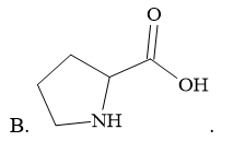 Proline có công thức là (ảnh 2)