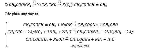 Biết X là ester có công thức phân tử là C4HnO2. Thực hiện dãy chuyển hóa X→┴(+NaOH,t^0 ) Y→┴(AgNO_3/NH_3 ) Z→┴(+NaOH) C_2 H_3 O_2 Na. Ester X có công thức cấu tạo là (ảnh 2)