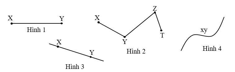 Hình nào dưới đây là đường thẳng XY? (ảnh 1)