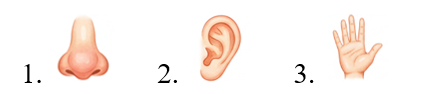 Listen and tick (v). (ảnh 2)