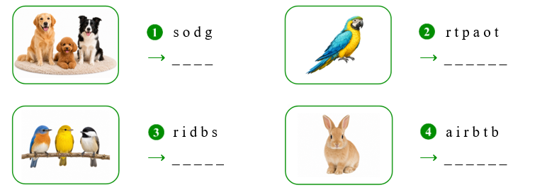 Reorder the letters. s o d g ⟶ _ _ _ _ (ảnh 1)