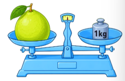 Quả bưởi nặng:  (ảnh 1)