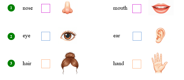 Listen and tick (v). (ảnh 1)