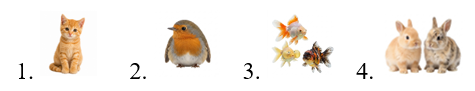 Listen and number. (ảnh 2)