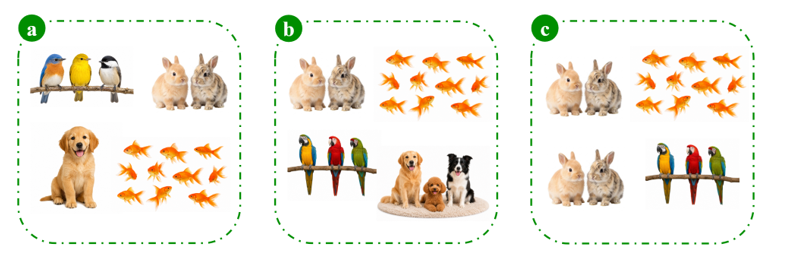 Read and choose the correct group of pets. (ảnh 1)