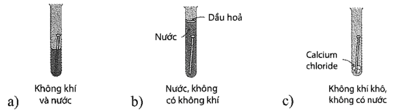 Trong những ống nghiệm nào sau đây, đinh sắt sẽ bị gỉ sau vài ngày? (ảnh 1)