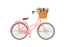 Look and circle the word. 3 questions (0.75pt)    bike  	  kite  	  yo-yo (ảnh 1)