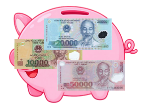 Con lợn đất có:  (ảnh 1)