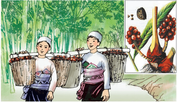 M&ugrave;a thảo quả lớp 5 | Giải Tiếng Việt lớp 5 Tập 1