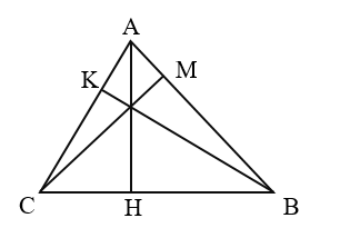 Chiều cao ứng với cạnh đáy BC là: (ảnh 1)