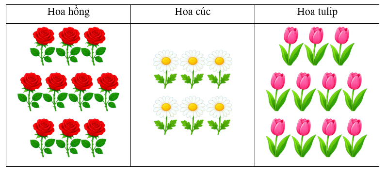 Biểu đồ tranh dưới đây cho biết số hoa trong vườn:  (ảnh 1)