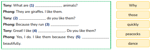 Read and complete. What are (1) _______________ animals? (ảnh 1)
