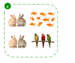 Read and choose the correct group of pets. (ảnh 2)
