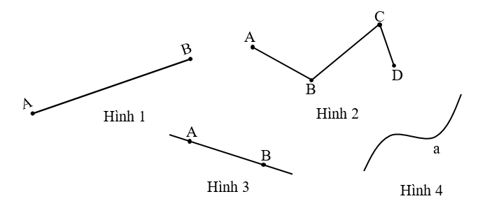 Hình nào dưới đây là đoạn thẳng AB? (ảnh 1)