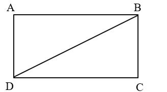 Hình bên gồm:  (ảnh 1)