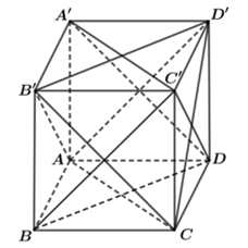Cho hình hộp ABCD.A'B'C'D'. Mặt phẳng (AB'D') song song với mặt phẳng nào sau đây? (ảnh 1)