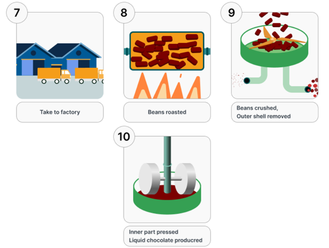The diagram shows how chocolate is produced. Summarize the information by selecting and reporting the main features and make comparisons where relevant. (ảnh 2)