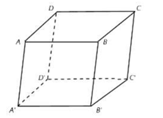 Cho hình hộp ABCD.A'B'C'D'.  Hình chiếu song song của cạnh BC trên mặt phẳng (A'B'C'D') theo phương AA' là: (ảnh 1)