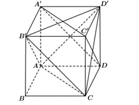 Cho hình hộp ABCD.A'B'C'D'. Mặt phẳng (A'DC') song song với mặt phẳng nào sau đây? (ảnh 1)