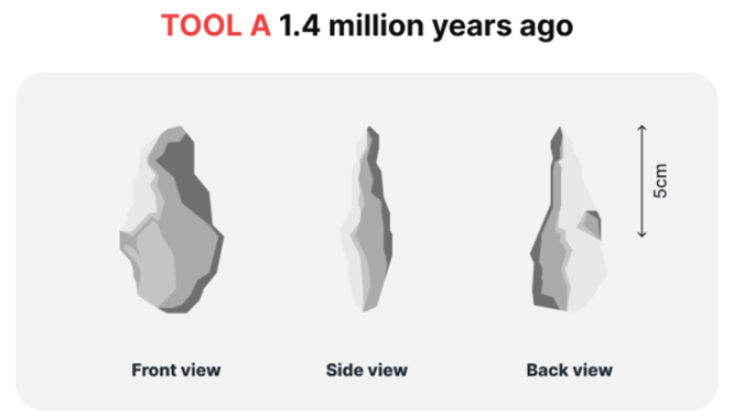 The diagram below shows the development of cutting tools in the Stone Age. Summarize the information by selecting and reporting the main features, and make comparisons where relevant. (ảnh 1)