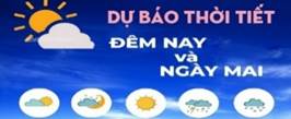 n5 zalo Doan Trang