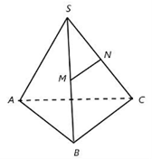 Cho hình chóp S.ABC có M, N lần lượt là trung điểm của SB, SC.  Đường thẳng MN song song với mặt phẳng nào? (ảnh 1)