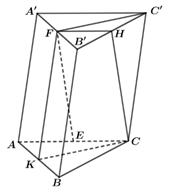Cho hình lăng trụ tam giác ABC.A'B'C'. Gọi E, F lần lượt là trung điểm của các cạnh AC và A'B'. Xét tính đúng sai của các khẳng định sau: (ảnh 1)