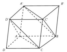 Cho hình hộp ABCD.A'B'C'D'.  Mặt phẳng (ACD') song song với mặt phẳng nào trong các mặt phẳng sau đây? (ảnh 1)