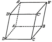 Cho hình hộp ABCD.A'B'C'D' (như hình vẽ dưới đây). Khẳng định nào sau đây là sai? (ảnh 1)