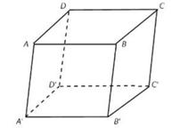 Cho hình hộp ABCD.A'B'C'D'.  Hình chiếu song song của cạnh AB trên mặt phẳng (A'B'C'D') theo phương CC' là: A'B'. (ảnh 1)