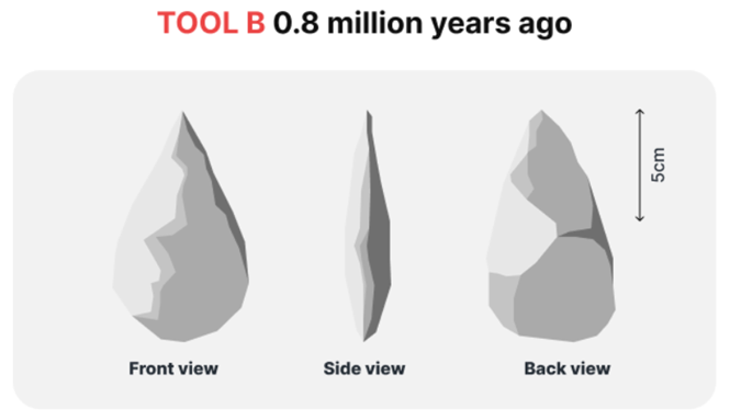 The diagram below shows the development of cutting tools in the Stone Age. Summarize the information by selecting and reporting the main features, and make comparisons where relevant. (ảnh 2)