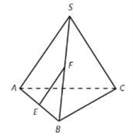 Cho hình chóp S.ABC có E, F lần lượt là trung điểm của AB, SB. Đường thẳng EF song song với mặt phẳng nào sau đây? (ảnh 1)