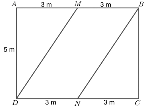 Tr&ecirc;n một mảnh đất h&igrave;nh chữ nhật c&oacute; chiều d&agrave;i \(6\;{\rm{m}}{\rm{,}}\) chiều rộng \(5\;{\rm{m}}{\rm{,}}\) người ta ph&acirc;n chia khu vực  để trồng hoa v&agrave; trồng cỏ như h&igrave;nh dưới đ&acirc;y: (ảnh 1)